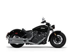 2024 Indian Scout for sale 201564055