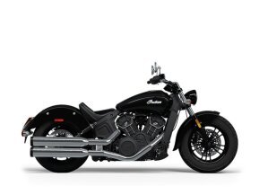 2024 Indian Scout for sale 201564056