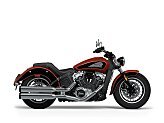 2024 Indian Scout ABS for sale 201600281