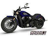 2024 Indian Scout ABS for sale 201604569