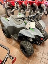 2024 Kawasaki KFX50 for sale 201569435