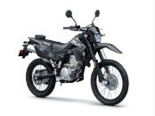 New 2024 Kawasaki KLX300