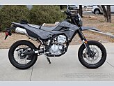 2024 Kawasaki KLX300 SM for sale 201557447