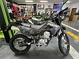2024 Kawasaki KLX300 for sale 201589060