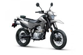 2024 Kawasaki KLX300 SM for sale 201601296