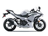 2024 Kawasaki Ninja 500 for sale 201611874