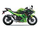 2024 Kawasaki Ninja 500 SE ABS for sale 201626041