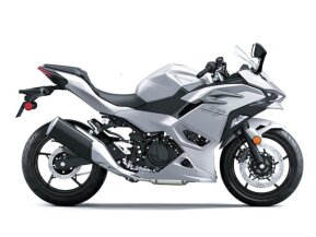 2024 Kawasaki Ninja 500 for sale 201611874