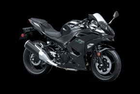 2024 Kawasaki Ninja 500 for sale 201614878