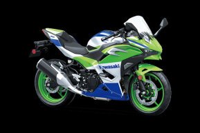 2024 Kawasaki Ninja 500 for sale 201614998