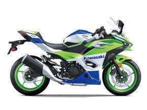 2024 Kawasaki Ninja 500 for sale 201617162