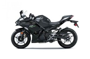 2024 Kawasaki Ninja 500 for sale 201618695