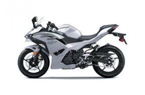 2024 Kawasaki Ninja 500 for sale 201618943