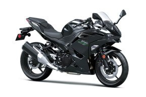 2024 Kawasaki Ninja 500 KRT Edition for sale 201619086