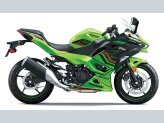 New 2024 Kawasaki Ninja 500 KRT Edition