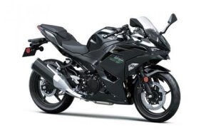 2024 Kawasaki Ninja 500 for sale 201624115
