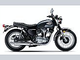 2024 Kawasaki W800 for sale 201608918