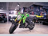 2024 Kawasaki Z125 Pro for sale 201565172