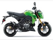 New 2024 Kawasaki Z125 Pro