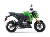 New 2024 Kawasaki Z125 Pro