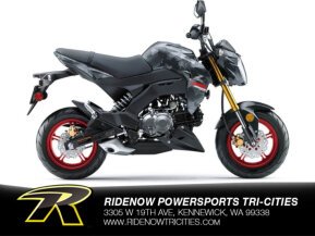 2024 Kawasaki Z125 Pro for sale 201623374
