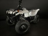 New 2024 Yamaha Grizzly 90