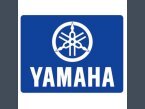 Thumbnail Photo 4 for New 2024 Yamaha Kodiak 450