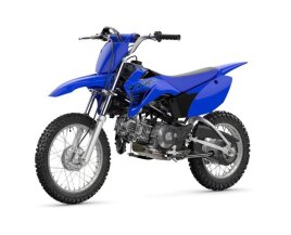 2024 Yamaha TT-R110E for sale 201523511