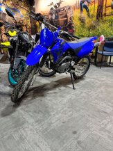 2024 Yamaha TT-R125LE for sale 201549944