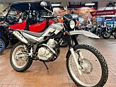2024 Yamaha XT250 for sale 201595456