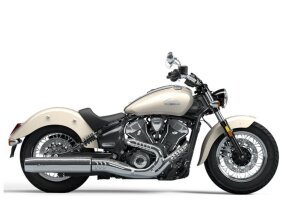 2025 Indian Scout for sale 201621053