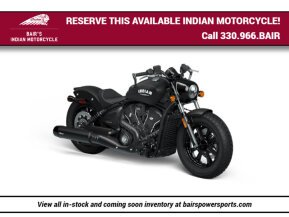 2025 Indian Scout for sale 201626856