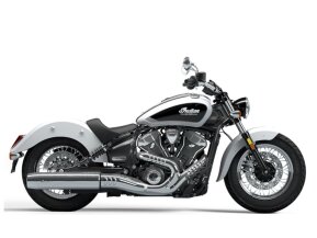 2025 Indian Scout for sale 201628099