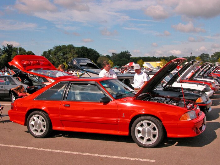 Fox-Body Finds