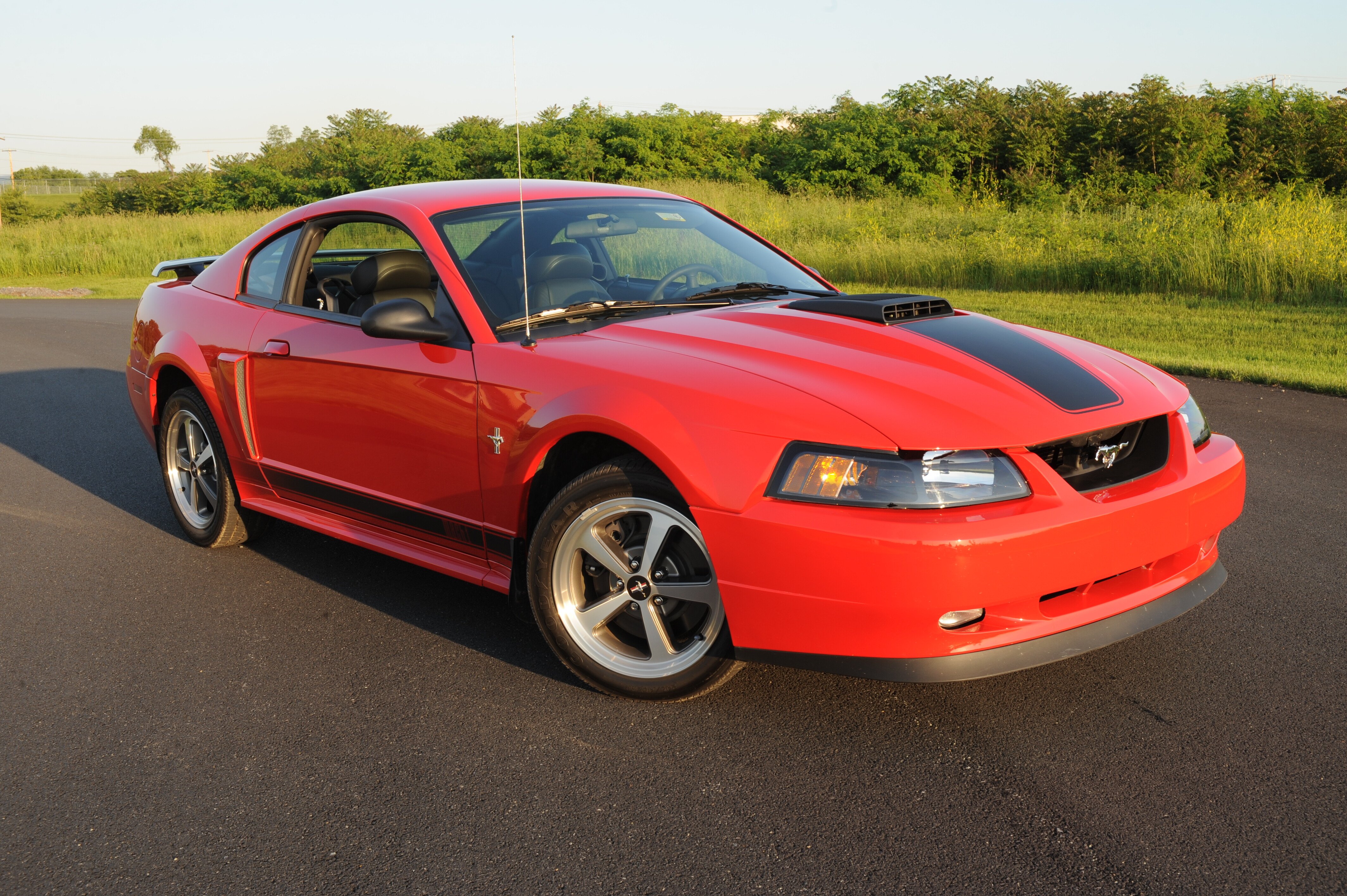 03 Mustang Mach 1 Classics On Autotrader