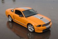 Shelby Mustang Buyer's Guide: 2006-2011