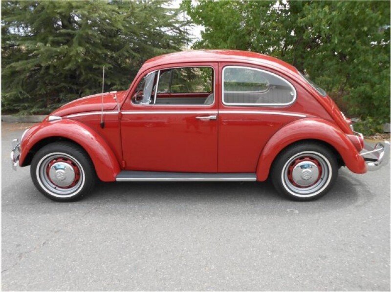 1966 Volkswagen Beetle Classics For Sale Classics On Autotrader