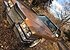 1973 Cadillac De Ville Sedan for sale 101115969