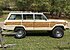 1984 Jeep Grand Wagoneer for sale 101125962