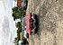 1971 Cadillac De Ville Sedan for sale 101126174