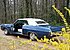 1969 Chevrolet Impala for sale 101131242