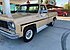 1978 Chevrolet C/K Truck Scottsdale for sale 101139564