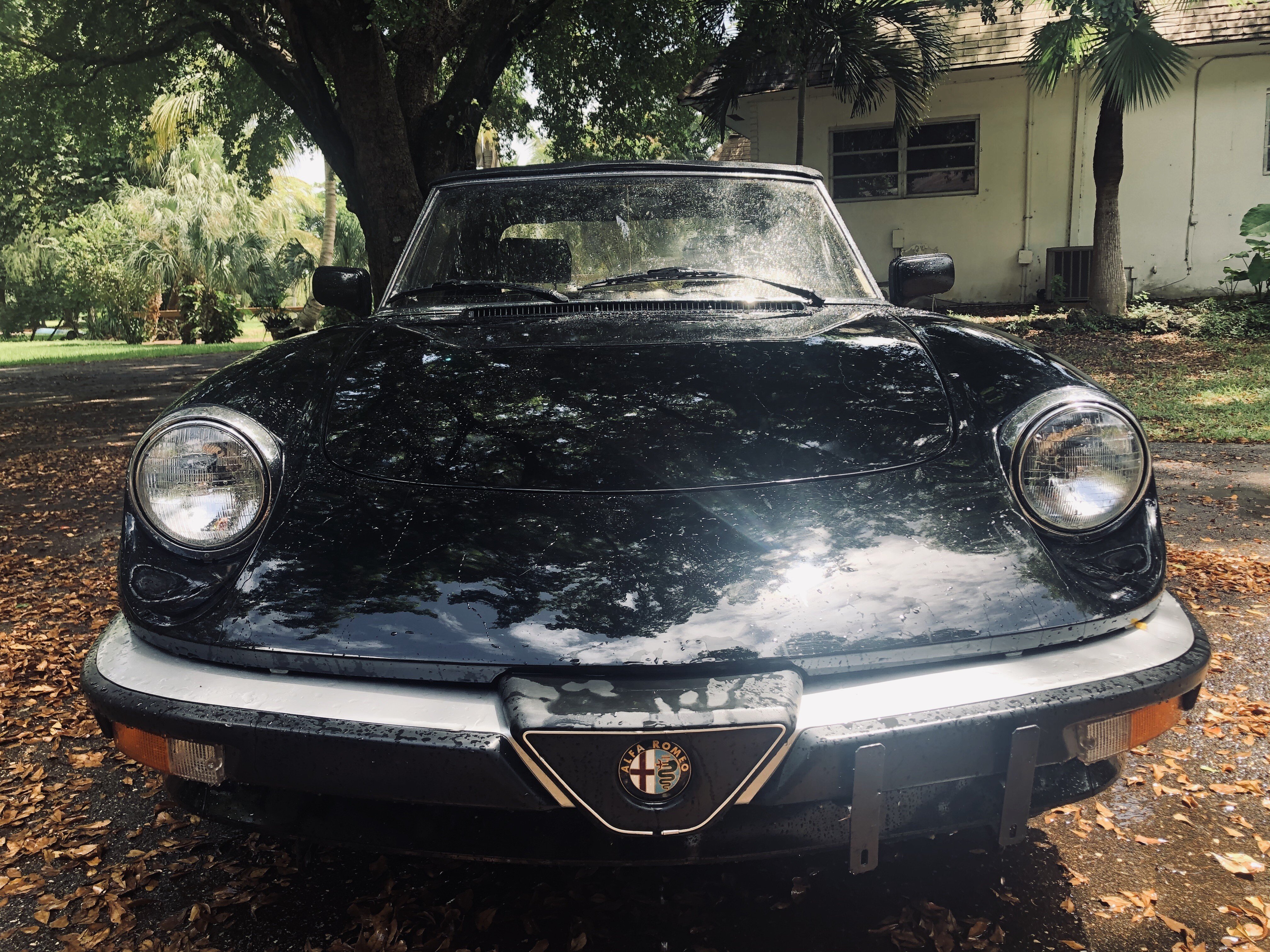 Download Alfa Romeo Spider Veloce Gif