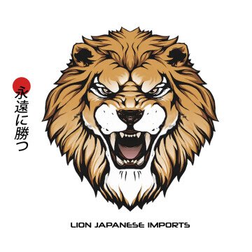 LION JDM IMPORTS LLC
