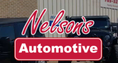 Nelson's Automotive Group Inc