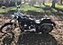 2004 Harley-Davidson Softail for sale 200689250