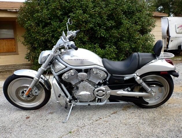 harley davidson v rod for sale