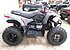 2019 Polaris Phoenix 200 for sale 200727701