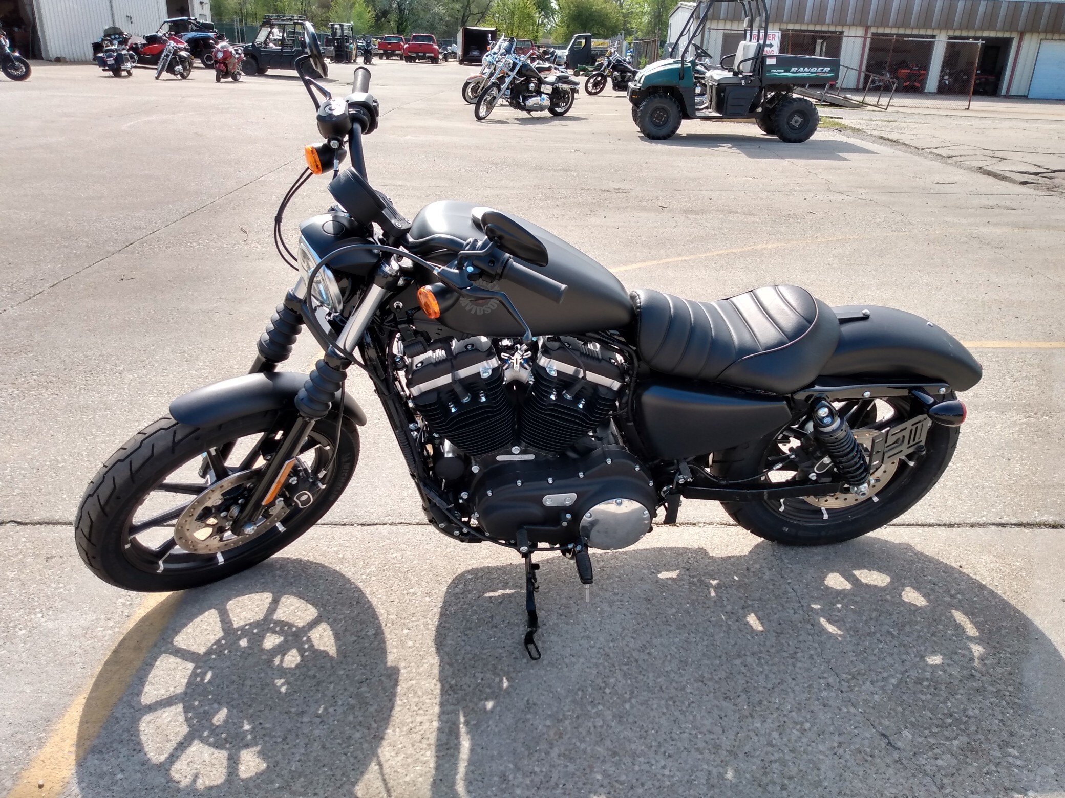 harley davidson iron 883 for sale