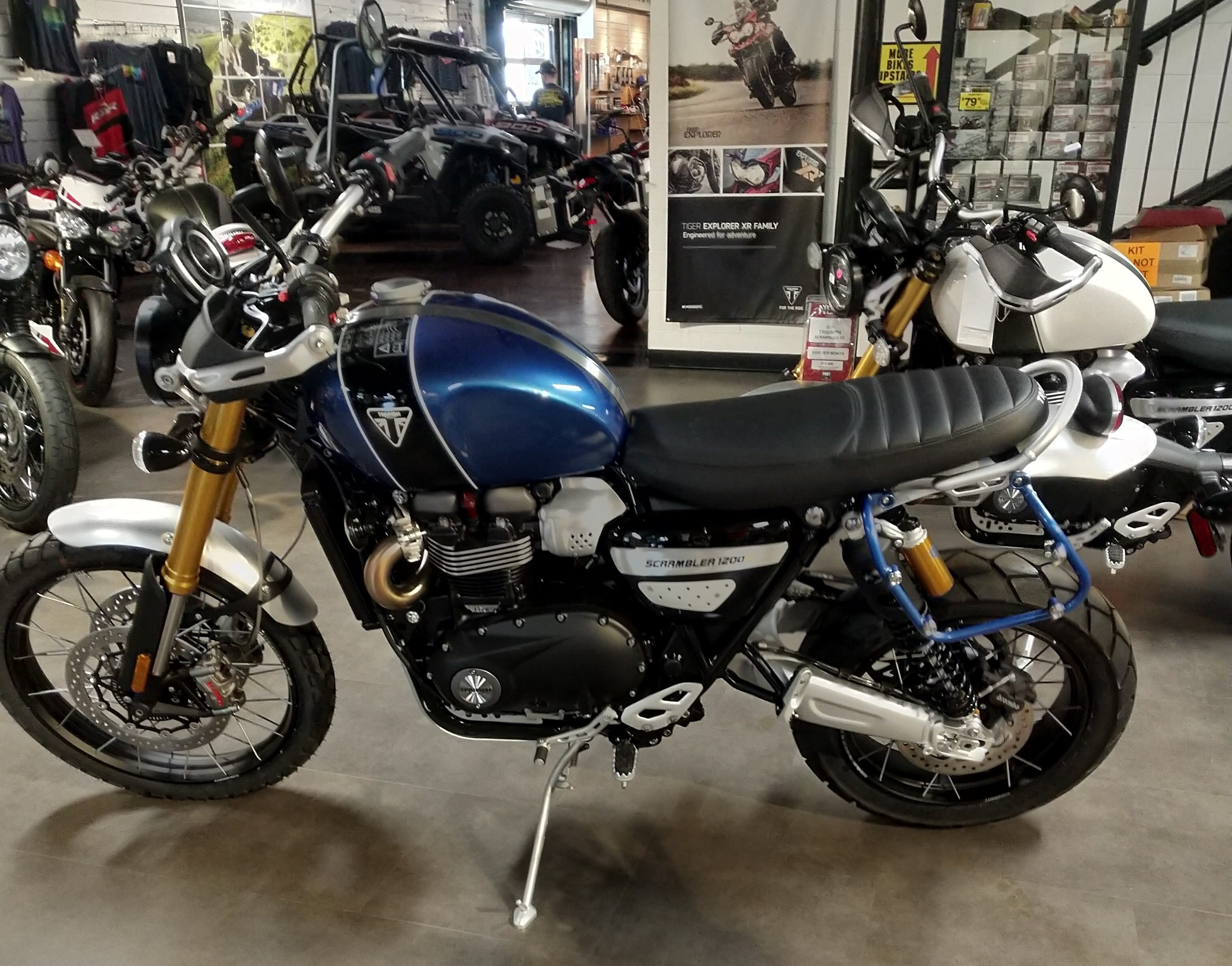 triumph scrambler xe for sale